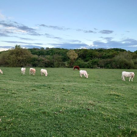 Chambre D'Hotes Juste-Confortable Fleurey-les-Lavoncourt Bagian luar foto