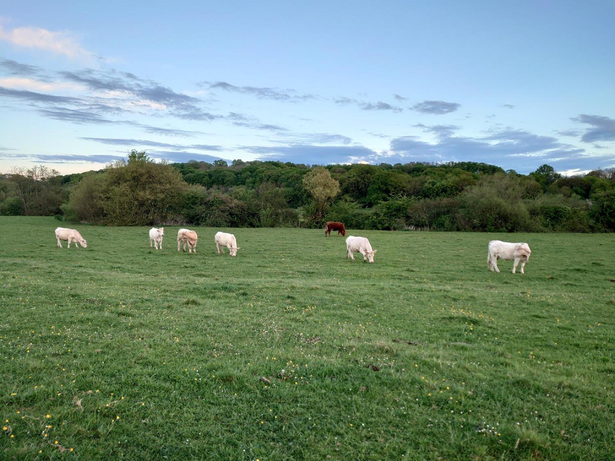 Chambre D'Hotes Juste-Confortable Fleurey-les-Lavoncourt Bagian luar foto